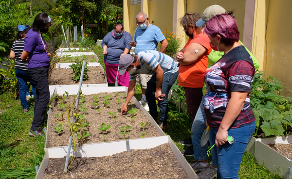 Economía Social y Solidaria